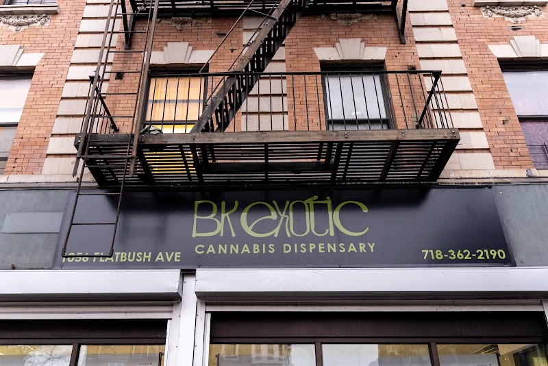 BK Exotic Outlet cannabis dispensary in Flatbush, NYC
