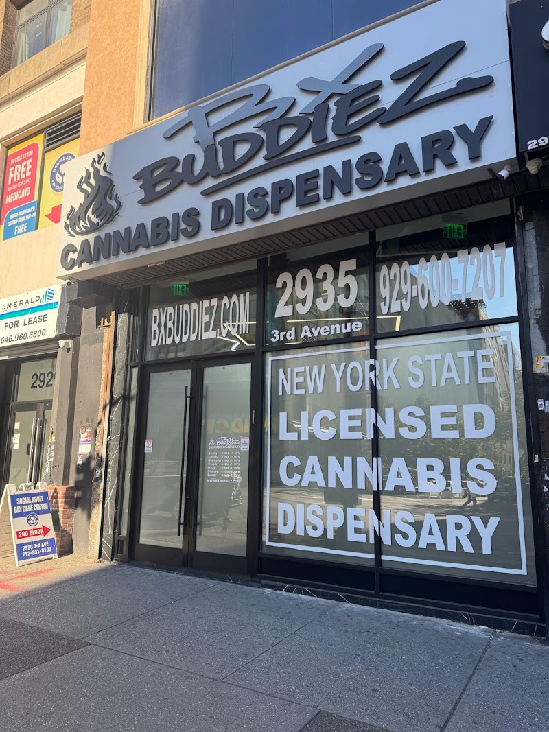 BX Buddiez cannabis dispensary in Mott Haven, NYC