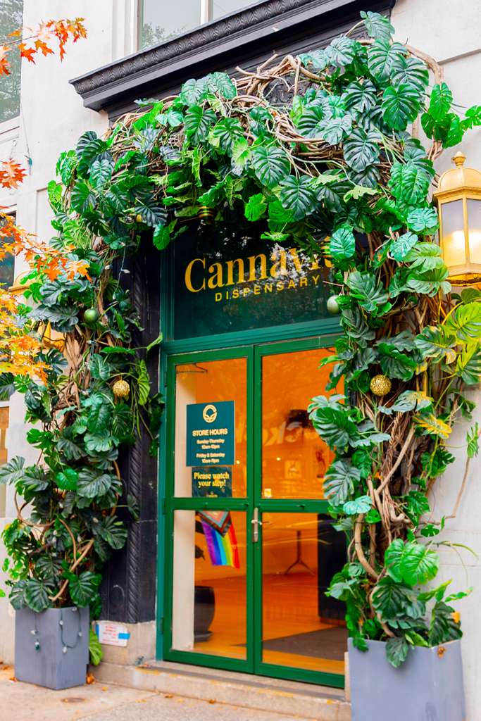 Green Jungle cannabis dispensary in Astoria, NYC